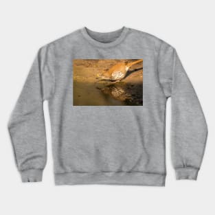 Thrasher Drinking and Reflecting Crewneck Sweatshirt